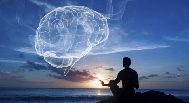 Harvard University Meditation Study Brain Gray Matter