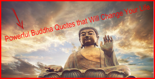 powerful buddha quotes that will change your life