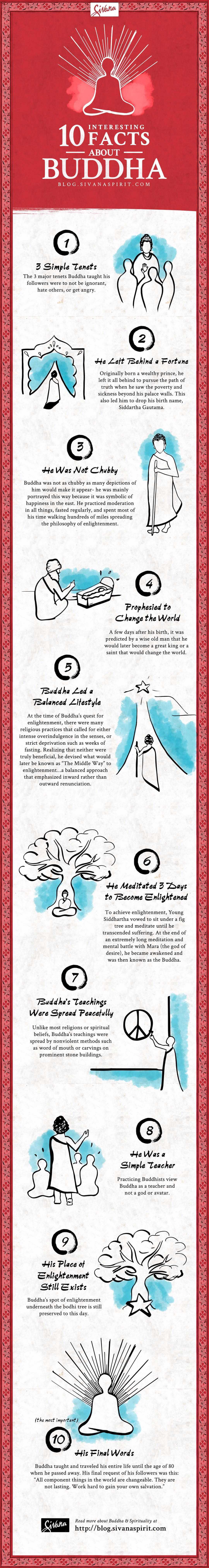 10 Interesting Facts About The Buddha Infographics